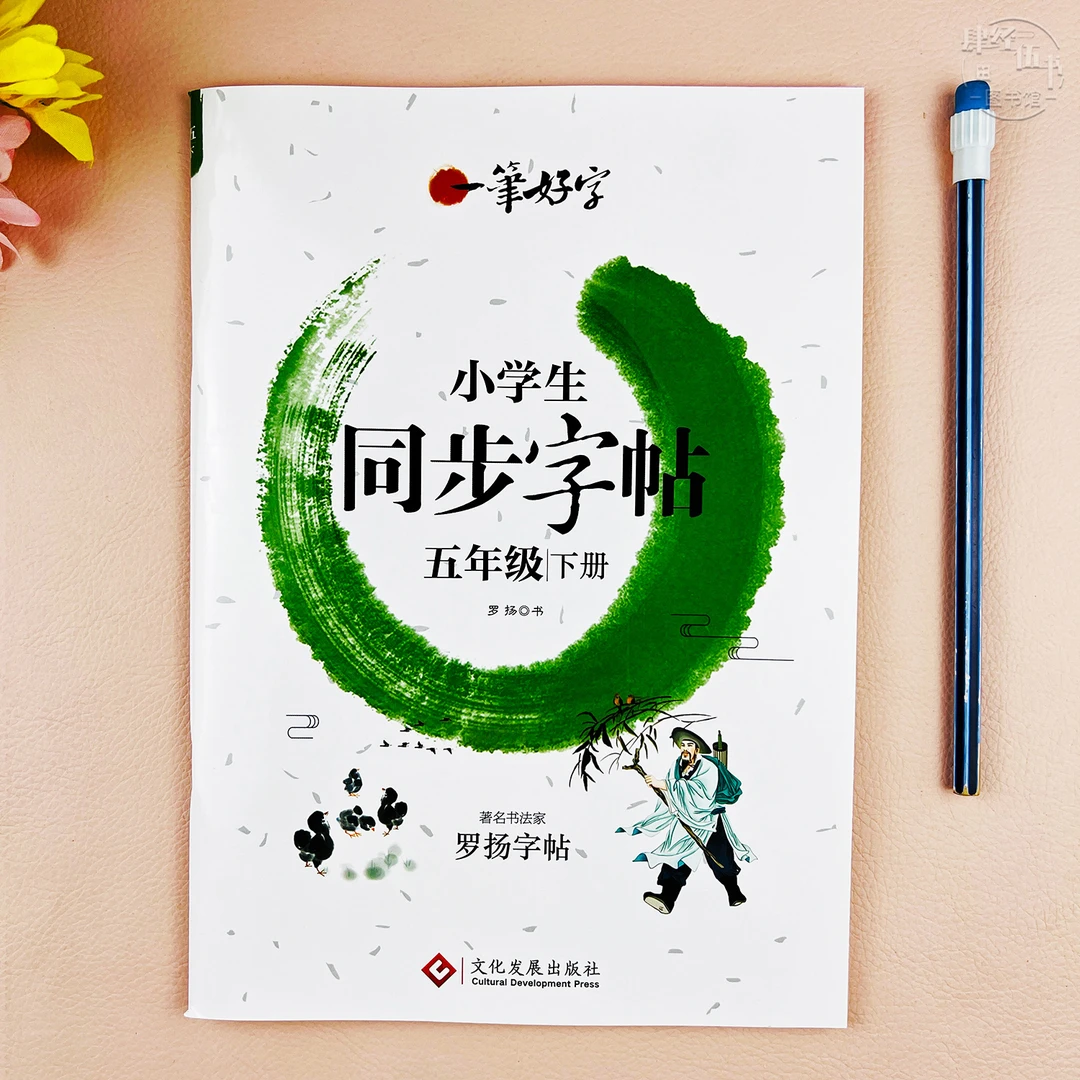 人教版五年级下册同步练字帖语文写字训练五年级练字帖一笔好字