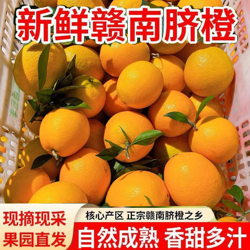 10斤装正宗赣南脐橙应季新鲜水果橙子产地直发特产橙香浓坏果包赔