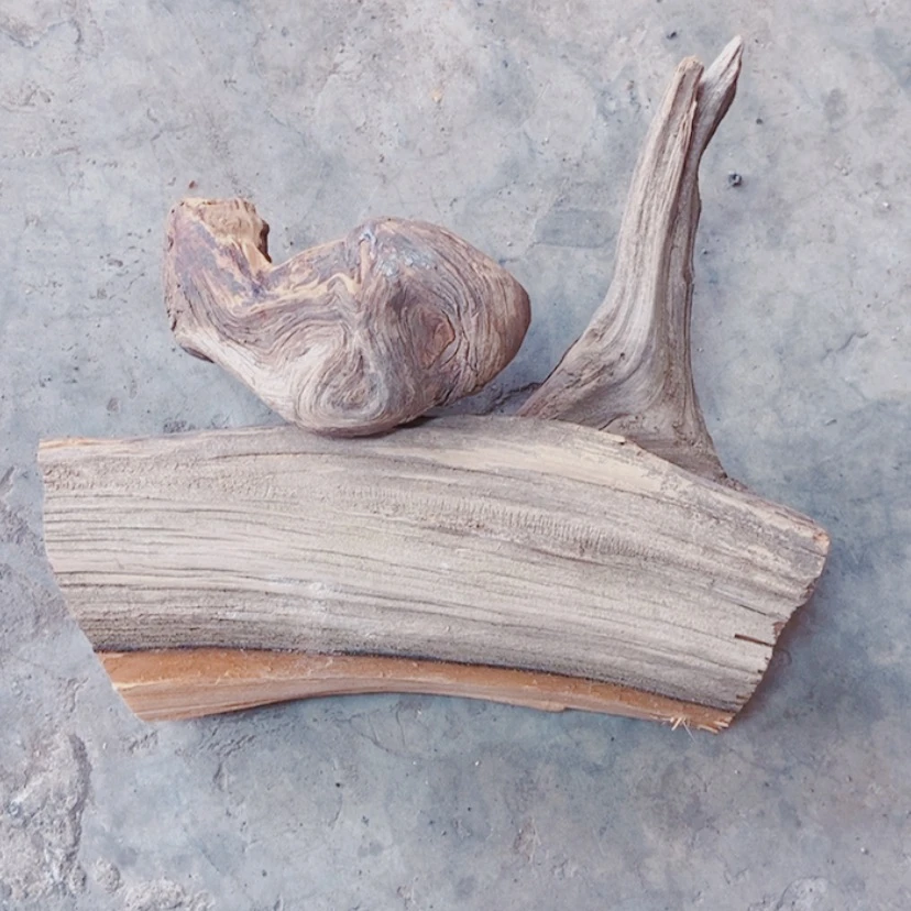 【闪购商品】柏木2****活太行天下第一