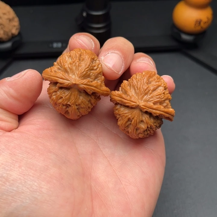 把件文玩核桃白狮子38+