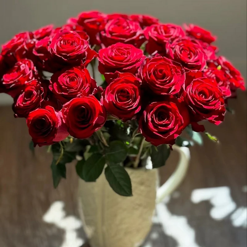 【花伴水】玫瑰花红玫瑰情人节花束云南直发品质鲜切花（不含盆）10支