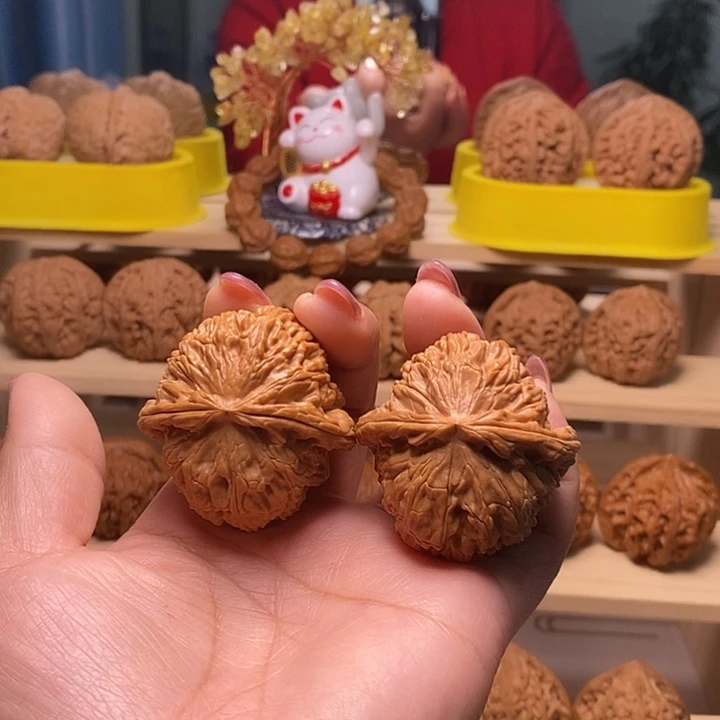 43尺寸的白狮子50.6克