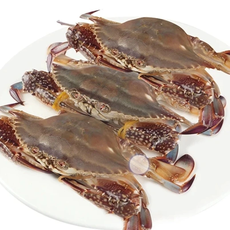 【保鲜不保活】梭子蟹500g【单只2-3两】