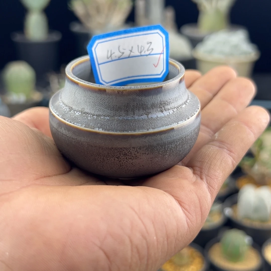 M***y手工盆一物一拍种火星人