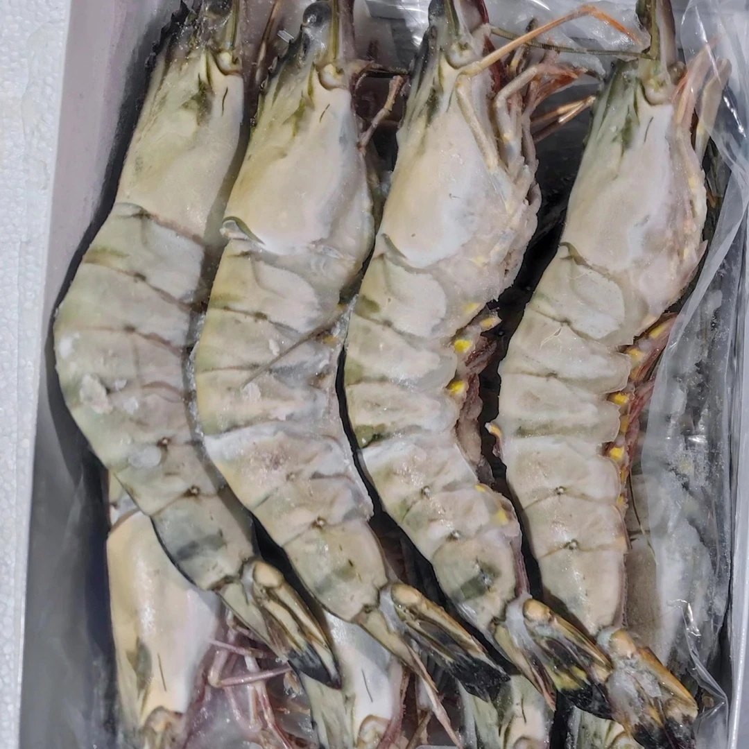顶大超大个头黑虎虾老虎虾2斤共16只虾新鲜美味劲道