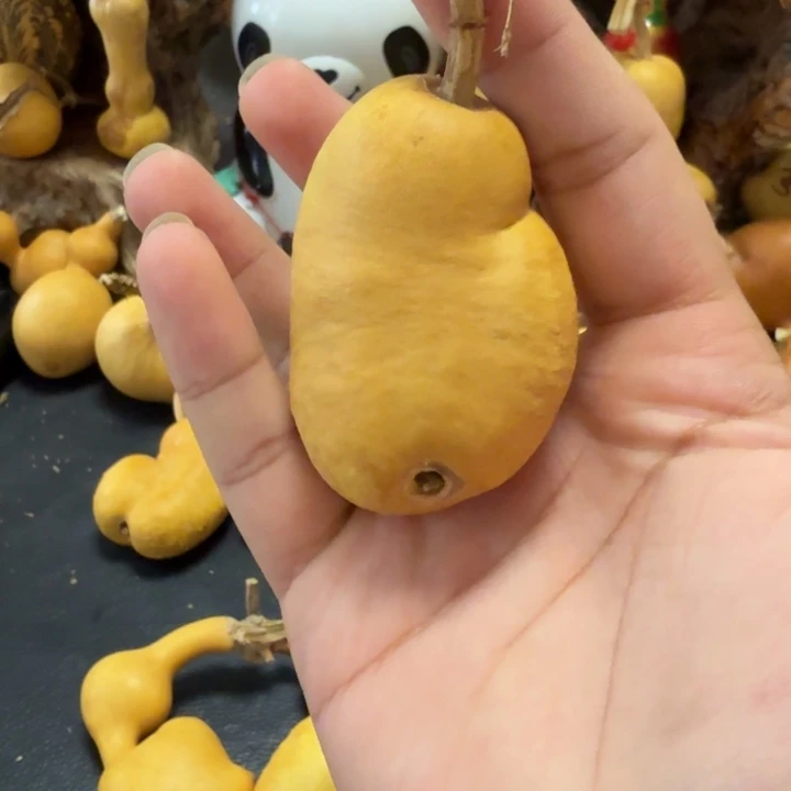 觉***慧788888888888889988