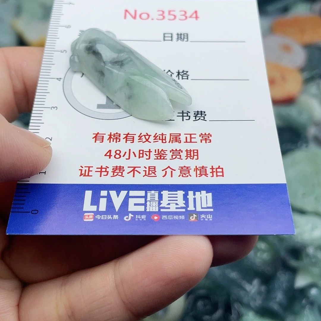 未镶嵌挂件翡翠3534
