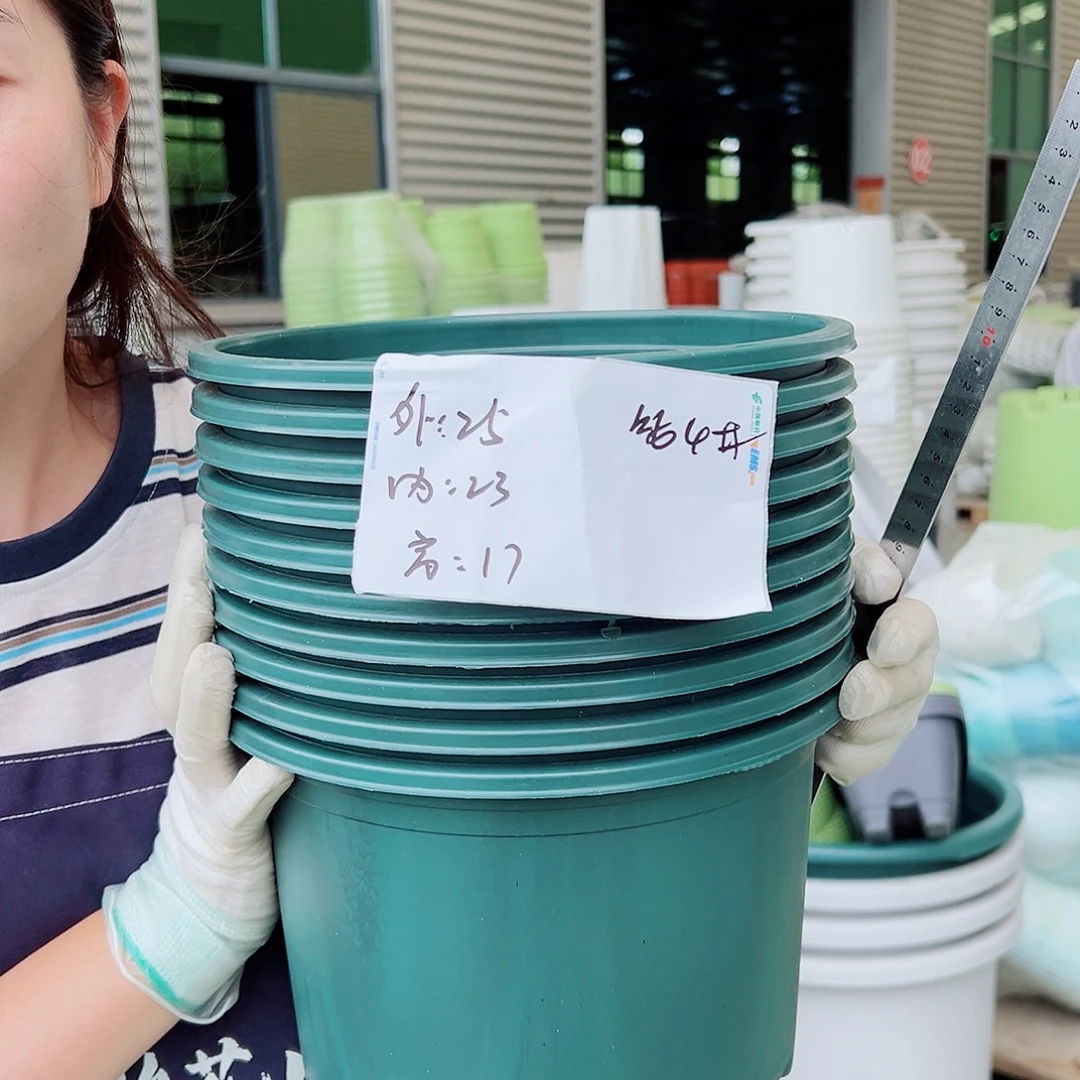 瑕疵矮胖4#墨绿10个无托
