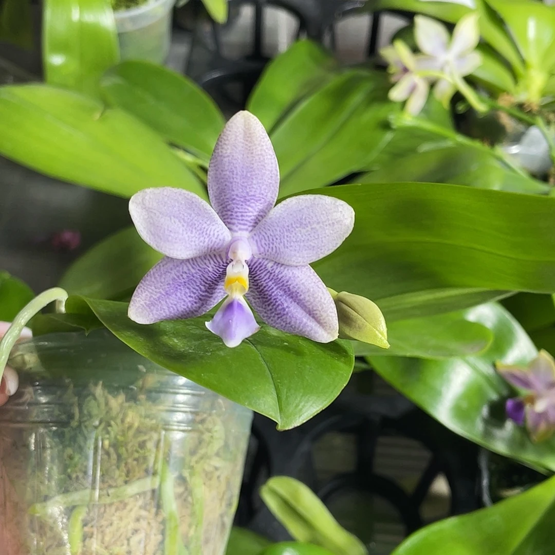 完全开放25836993