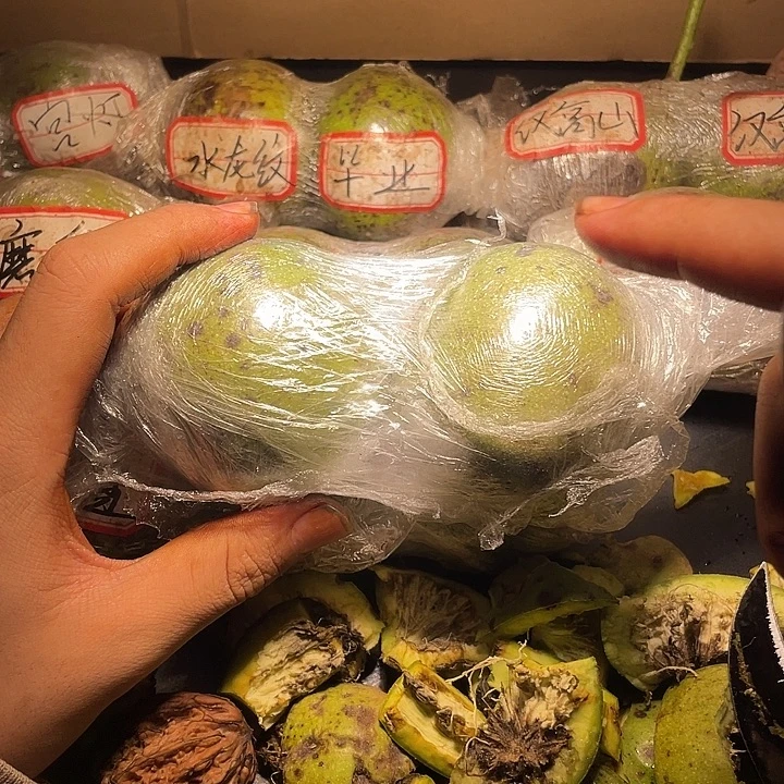 磨盘狮子头保配对（爱润sb）