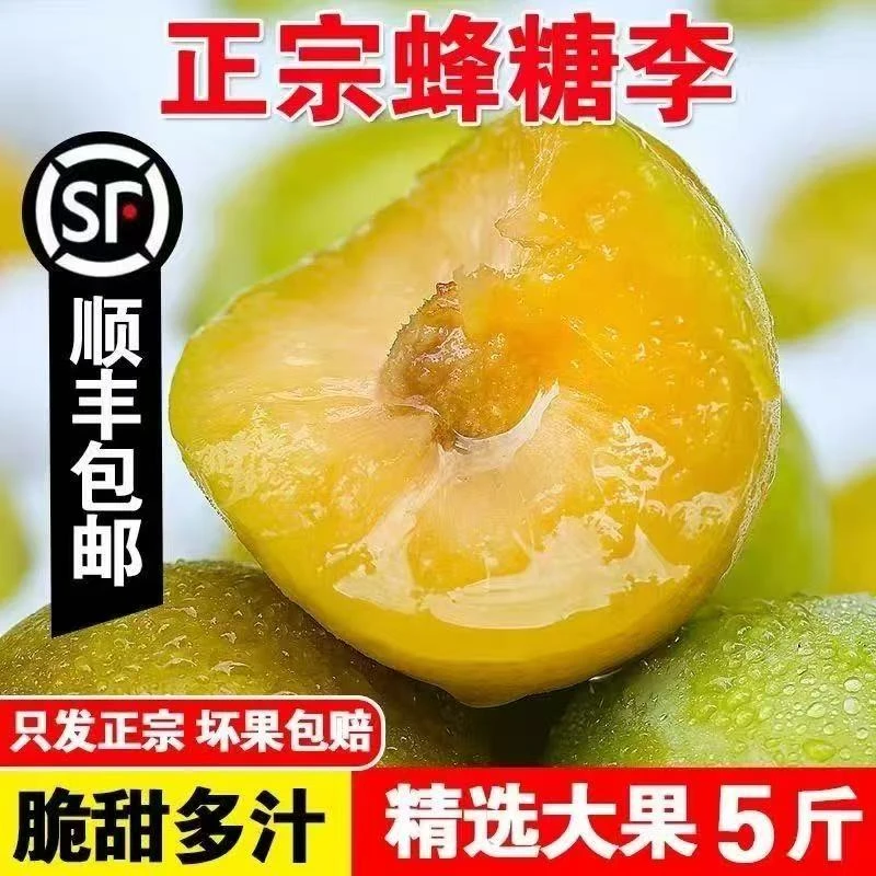 [原产地顺丰空运直发】正宗贵州镇宁六马蜂糖李脱骨李子新鲜蜂蜜李