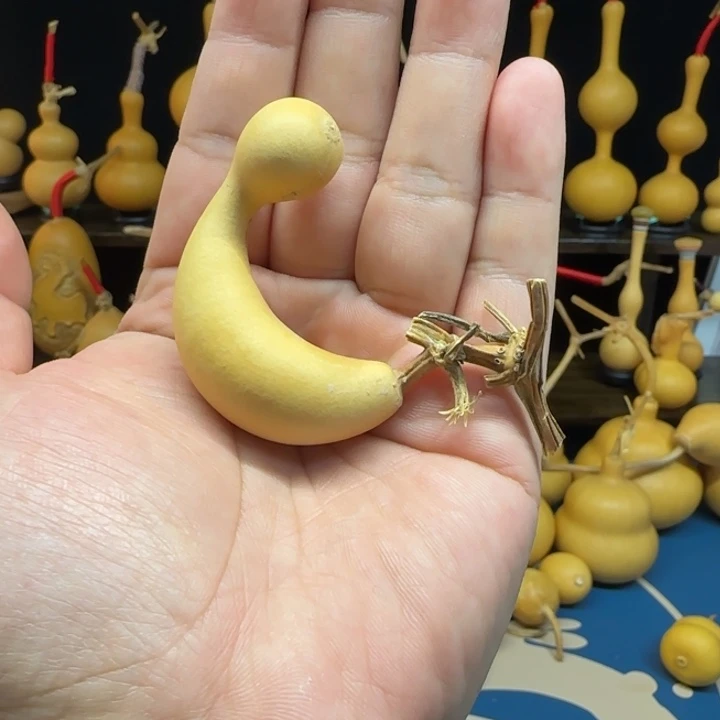 笑**生一物一图偏远地区不包邮