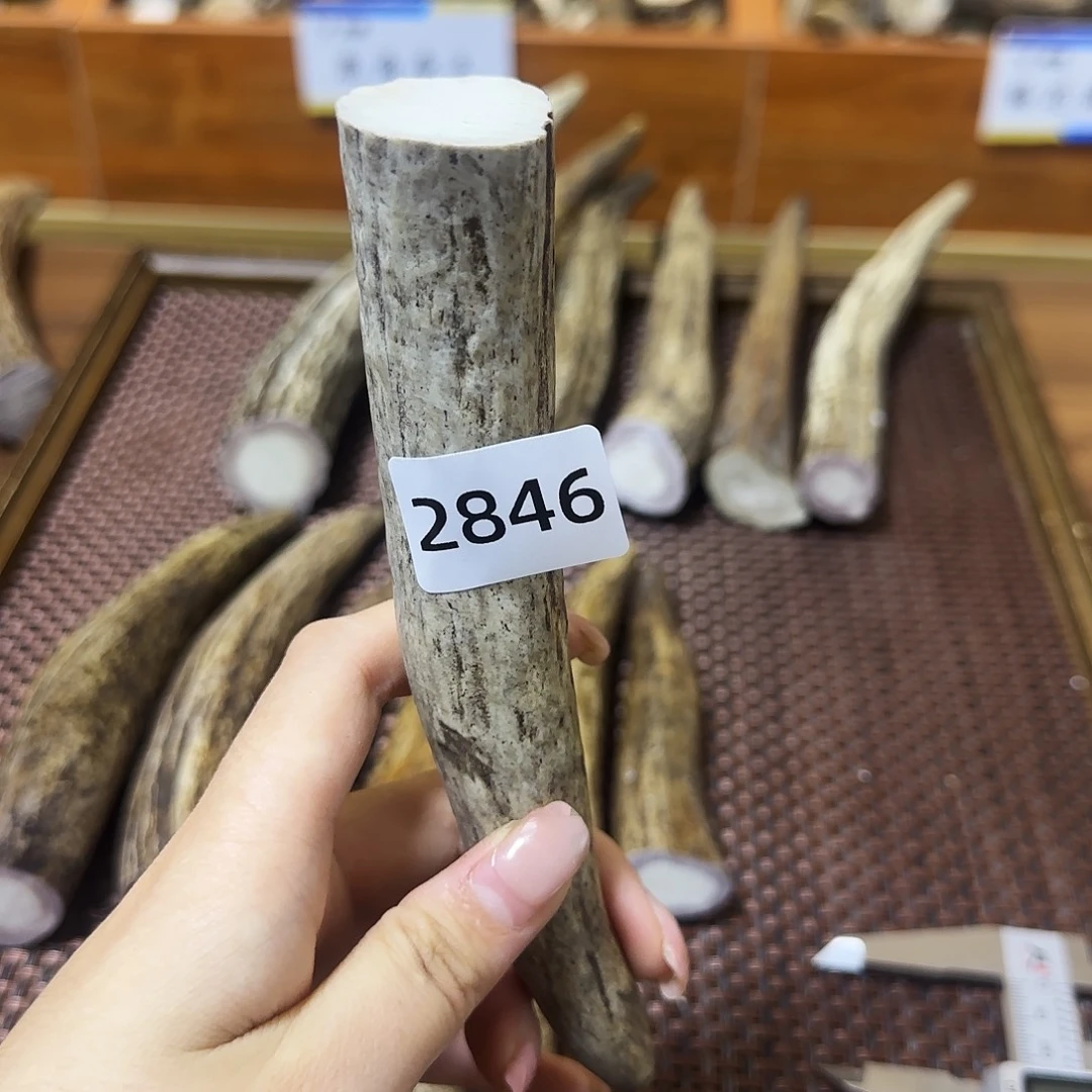 手串/手链鹿骨角尖2846