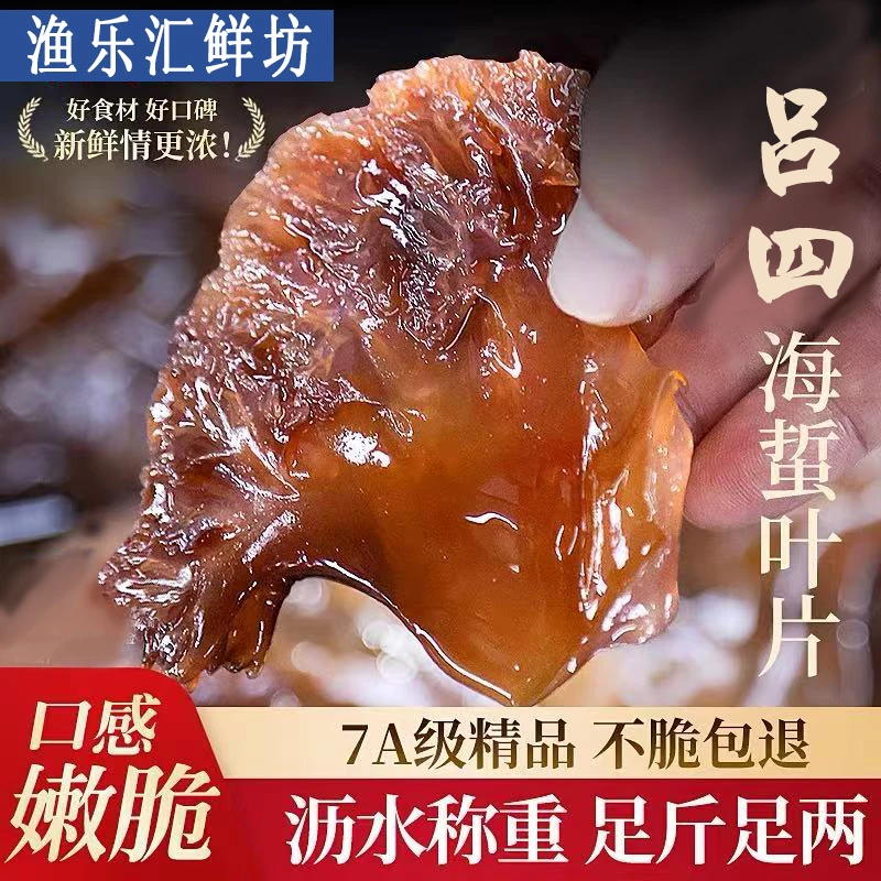 海蜇叶天然野生海蜇叶片3斤5斤净重优选凉拌海鲜爽脆新鲜海蜇片
