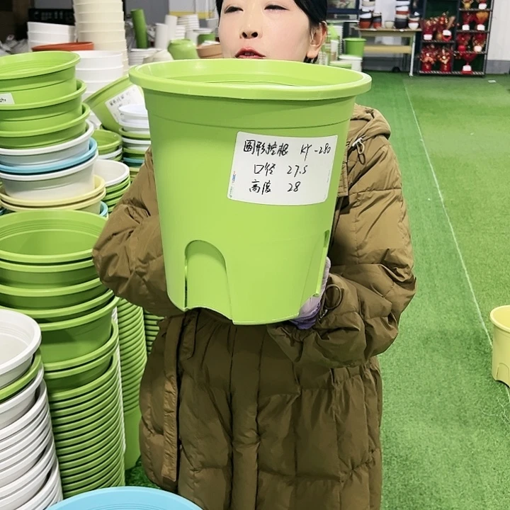 正品圆控口27.5高28果绿5只无托