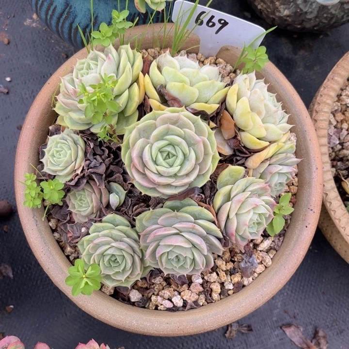 669 00008888888888888