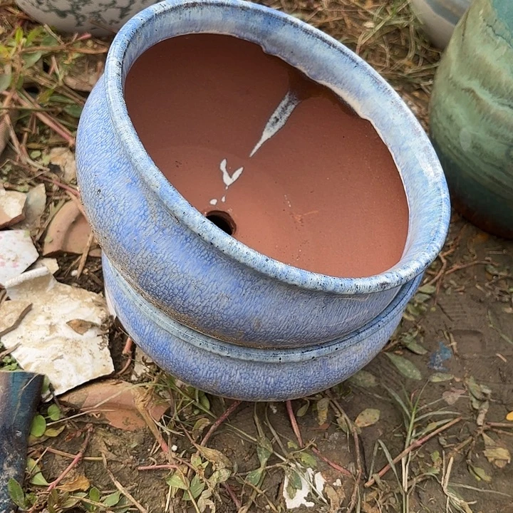 口20哈11瑕疵。。。。。。。。。。