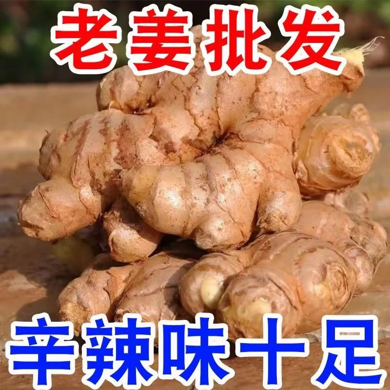 正宗贵州高山现挖小黄姜二黄姜姜香浓郁老姜批发