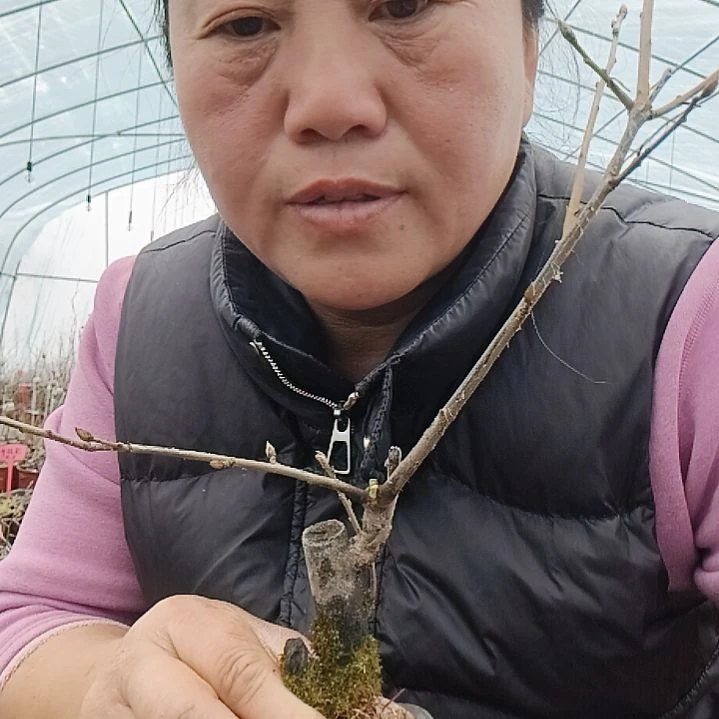 捌***玖无花朵4568568888888