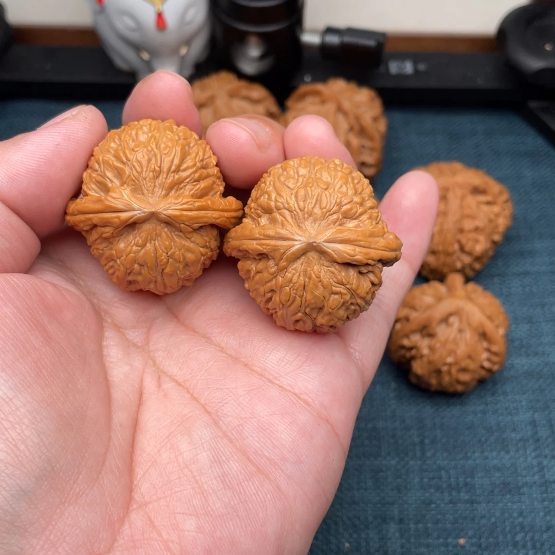 ****～文玩核桃把件全品白狮子37