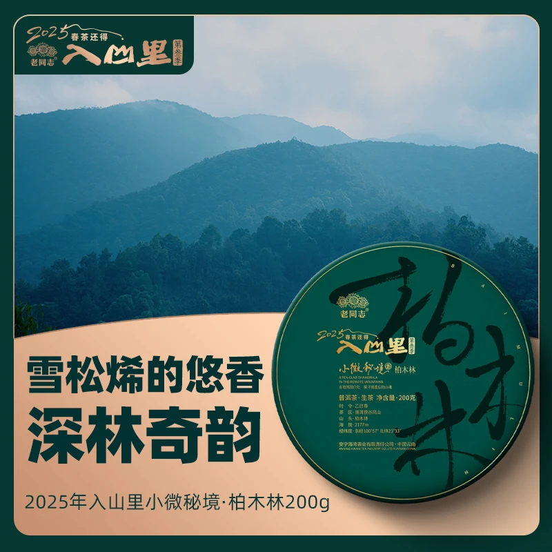 柏木林  生茶 普洱生茶 饼茶 200克  老同志 2025年入山里