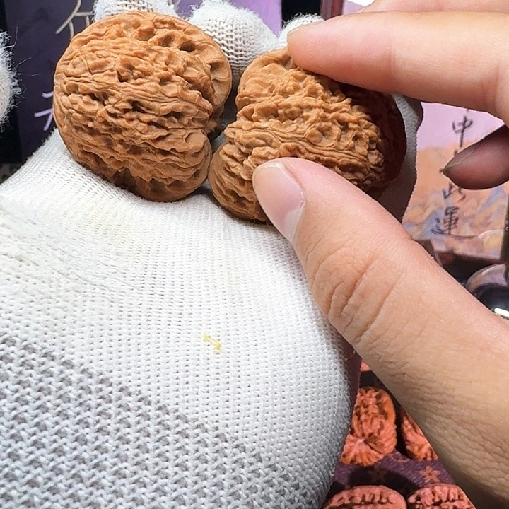 大叶紫檀（黑酸枝木类）