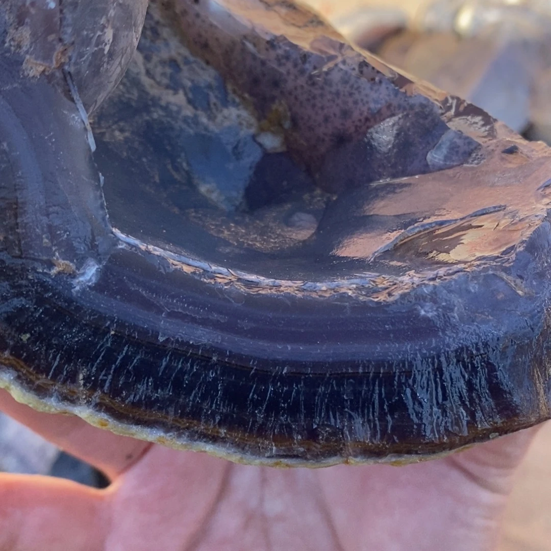 ꩵ***୭定制玛瑙玛瑙手镯原石切割不退换