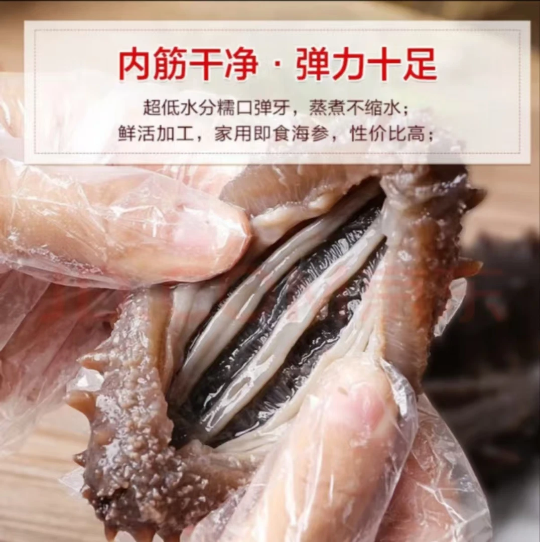 大连鲜蒸海参5-8只/斤 顺丰包邮送货 鲜食海参 开袋就能吃