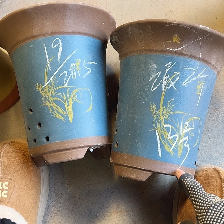 13……………………………………