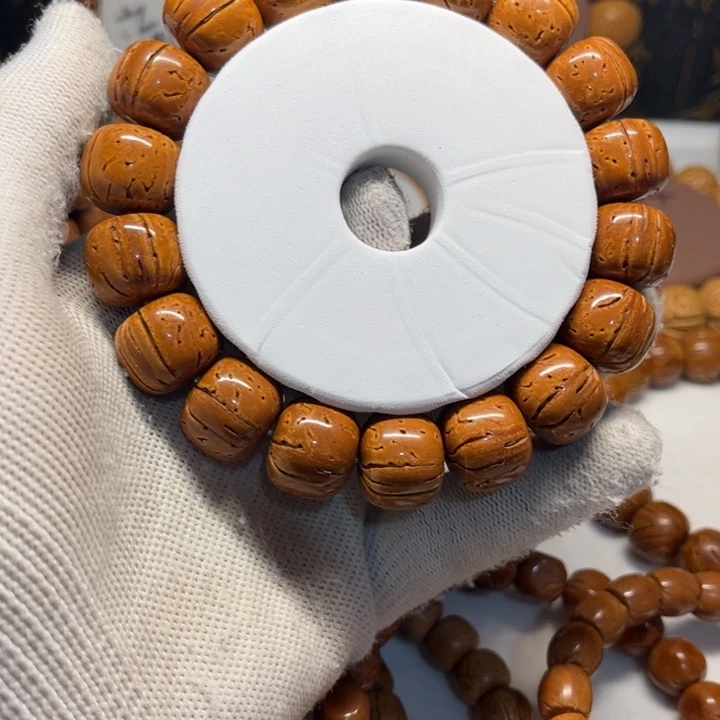 东北脑纹红魔短轴老型