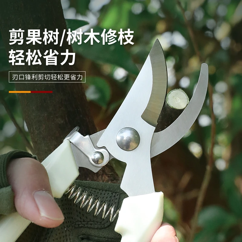剪刀奶白色不锈钢修枝园艺摘果剪华艺剪刀插华工具家用剪园林家用