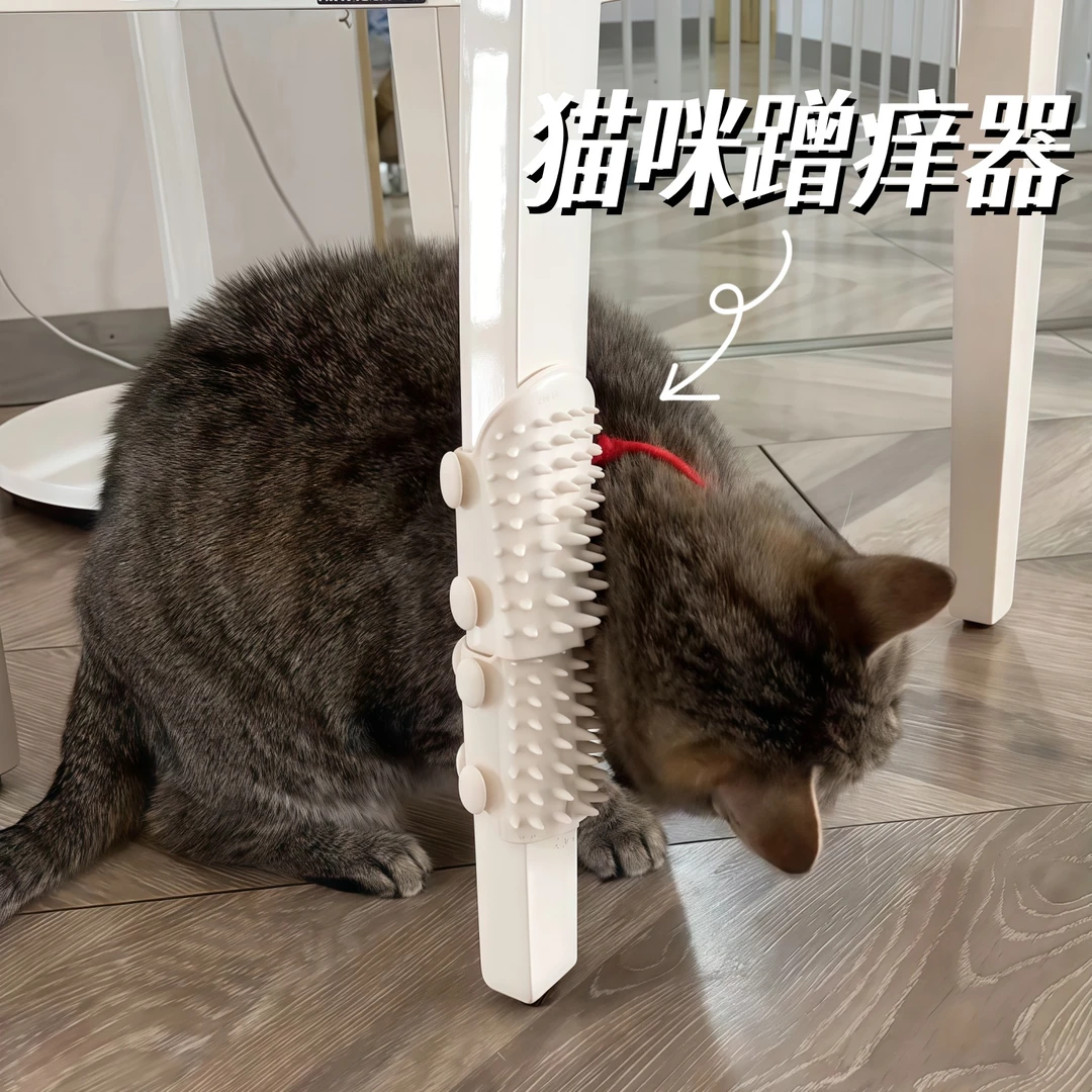 猫咪蹭痒器桌腿绑带按摩器多功能梳毛神器梳子去浮毛专用宠物用品