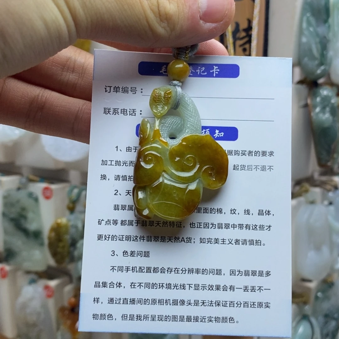 翡翠未镶嵌颈饰蛇