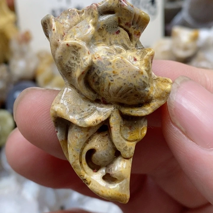 颈饰未镶嵌硅化珊瑚（珊瑚玉）