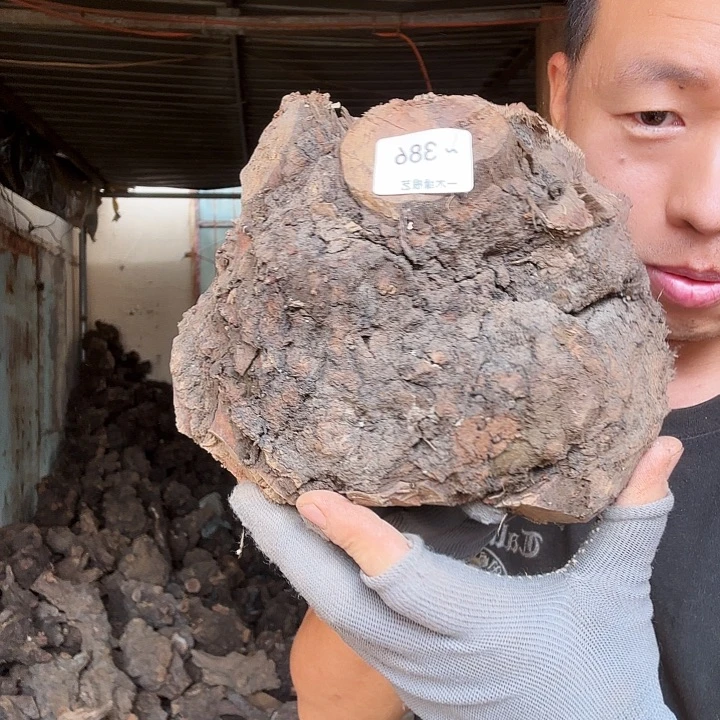 用***8无花朵0000000000386