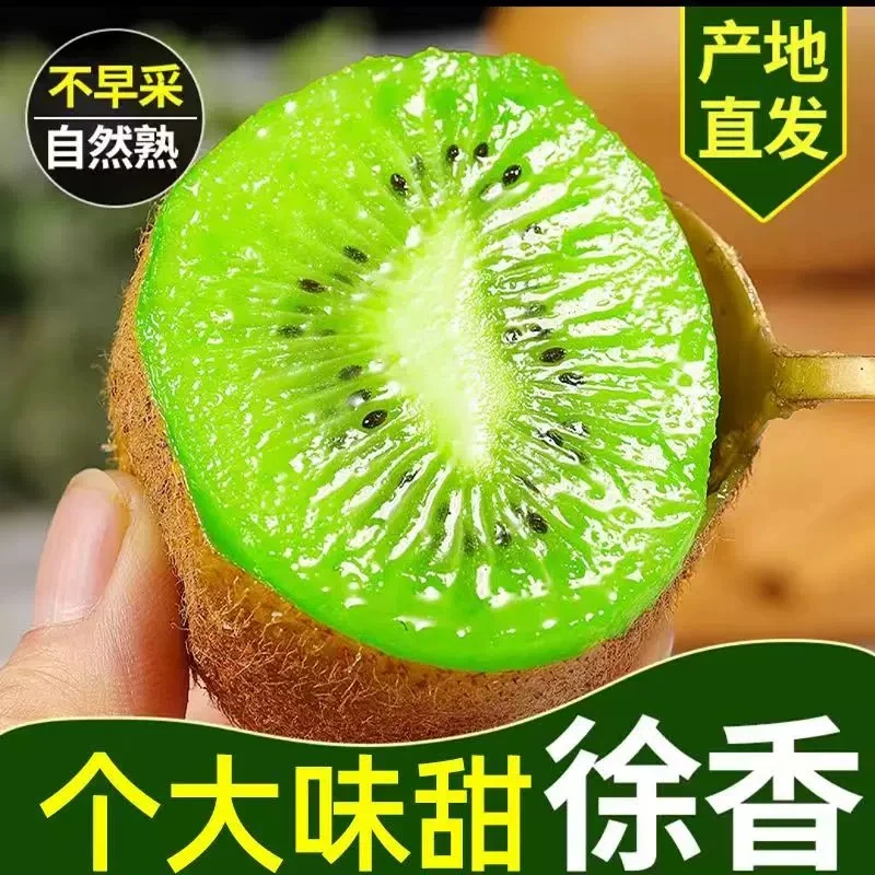 【书记助农】陕西周至徐香猕猴桃新鲜绿心奇异果当季水果香甜多汁