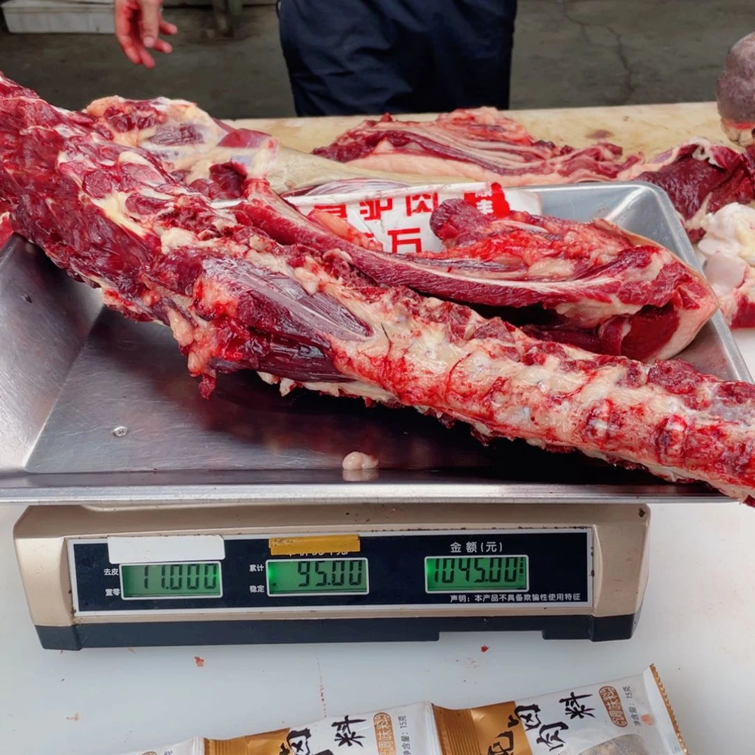 【闪购商品】冷冻保存30天包装河北省