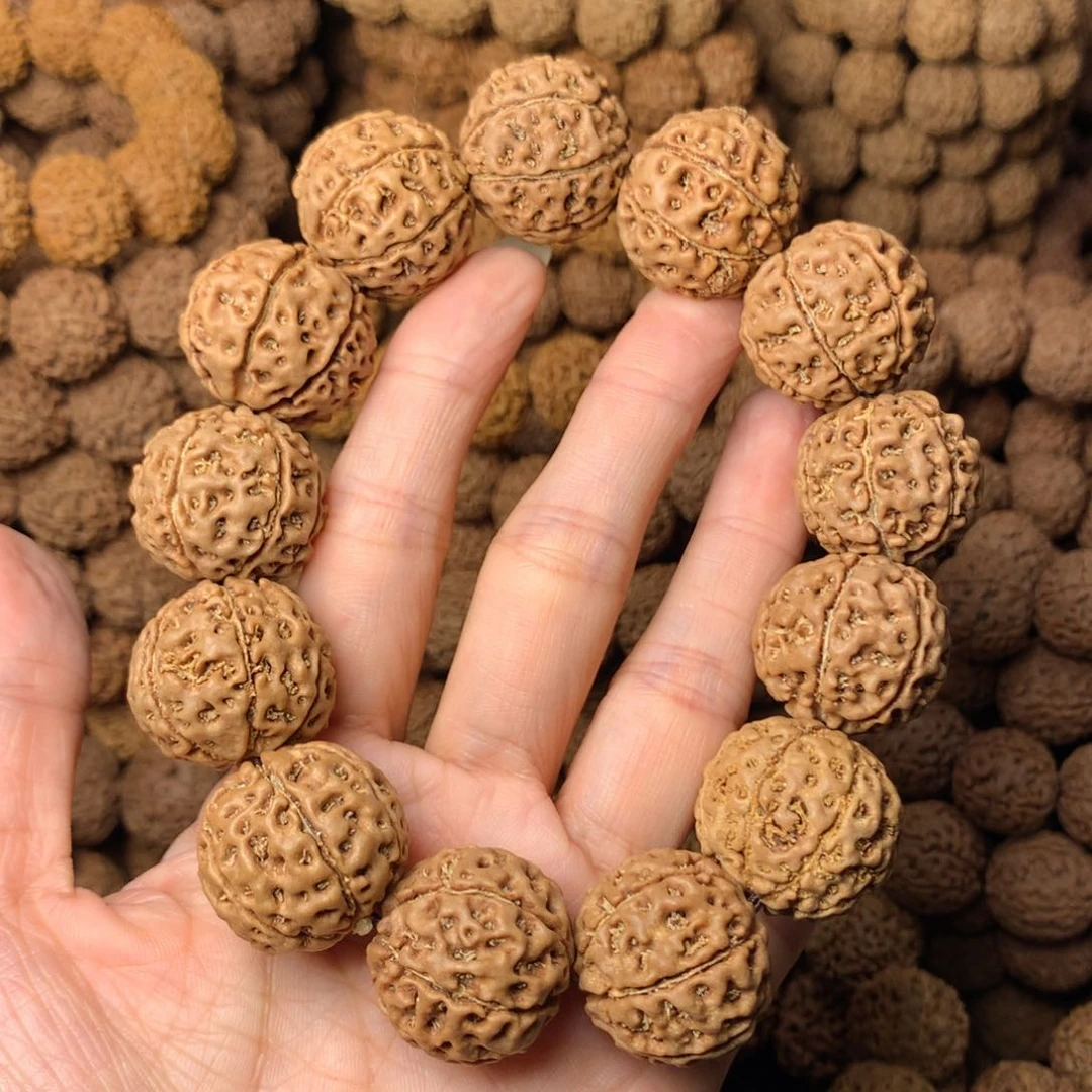 木7瓣爆肉卡23尺寸，20号