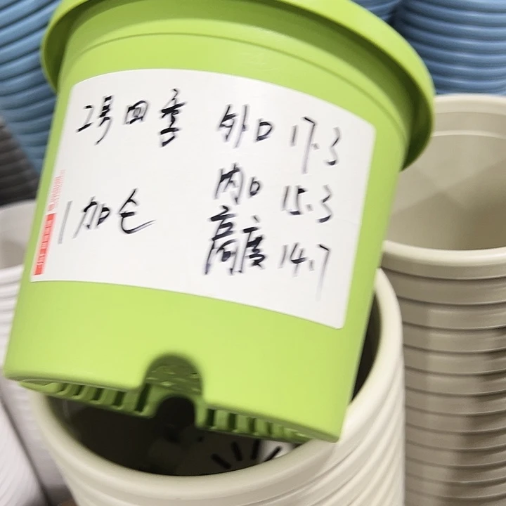 特价2号四季口17.3高14.7果绿带托19只