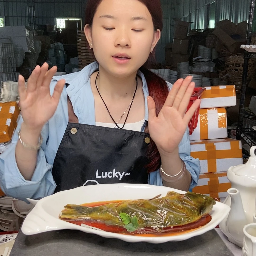 【闪购商品】碟工厂微瑕……介意勿拍496