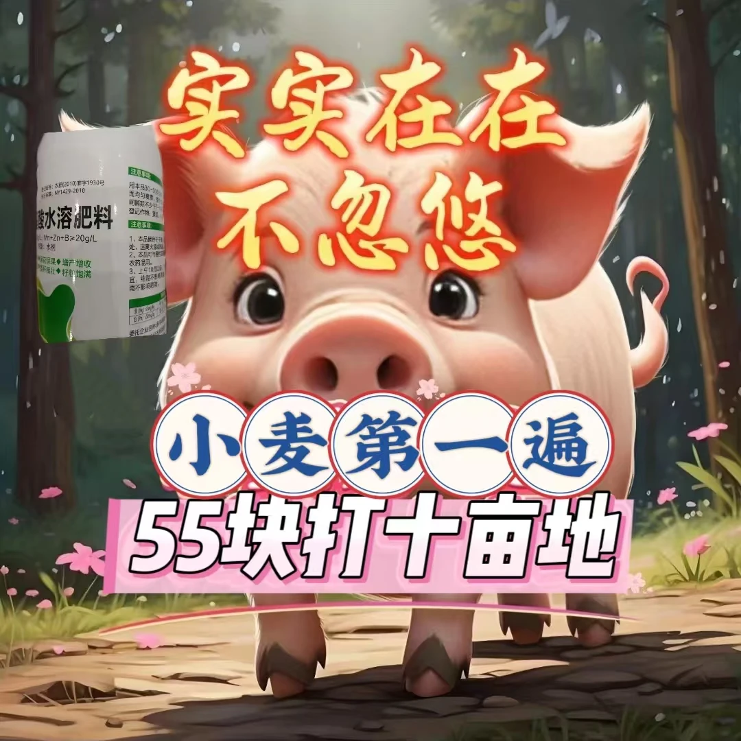 实实在在不忽悠，小麦第一遍12瓶打十亩