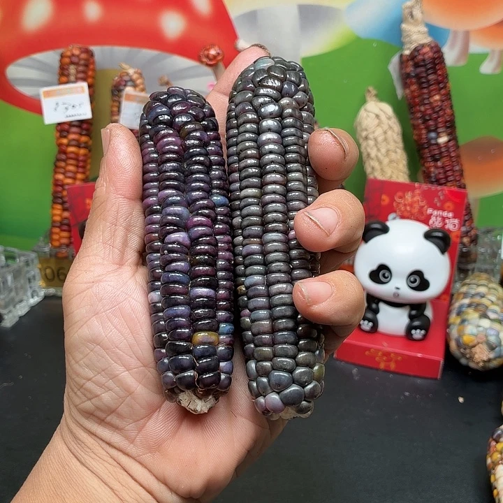 凉***✿吊坠柏香籽/百香籽