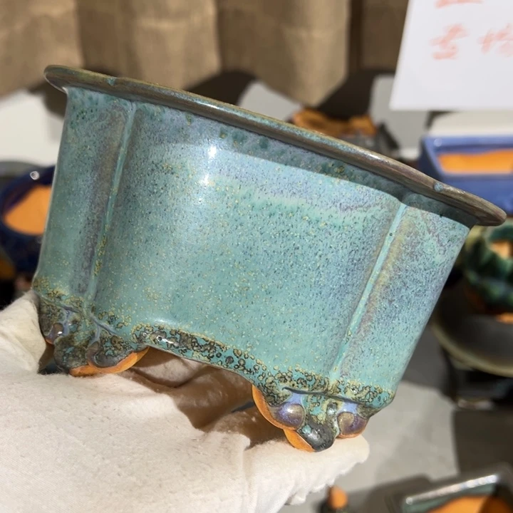 瑕疵当代觉象花盆盆观赏