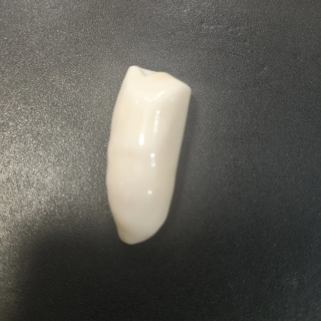 猛犸秋吊坠9克链接Q67