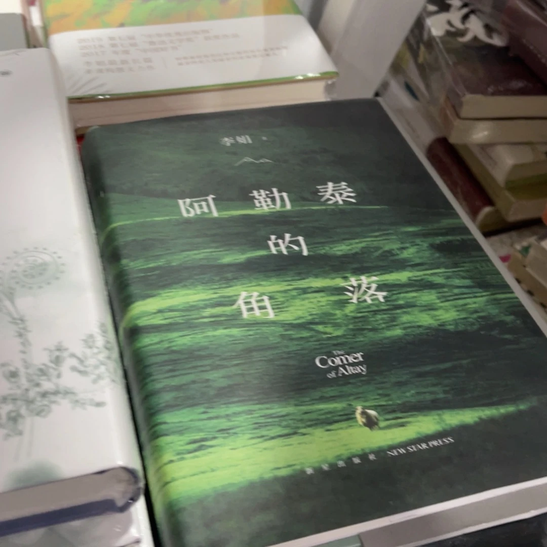 阿勒泰的角落精装