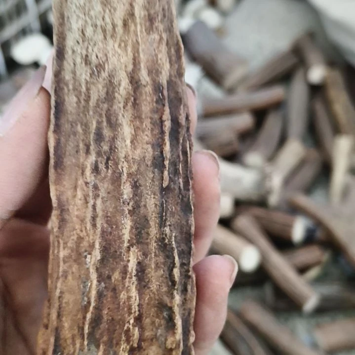 把***铺非金属无鹿角鹿角鹿角鹿角鹿角鹿角
