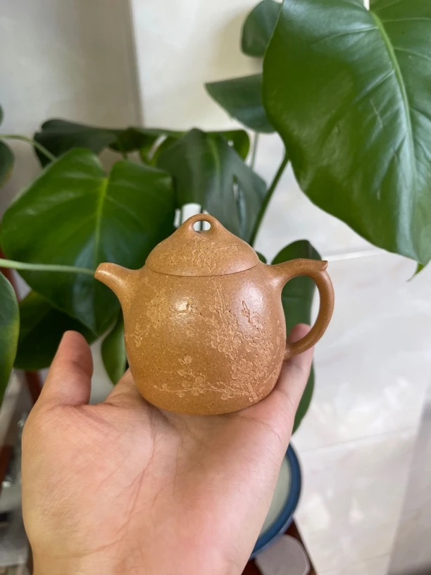 160cc黄金段秦权壶