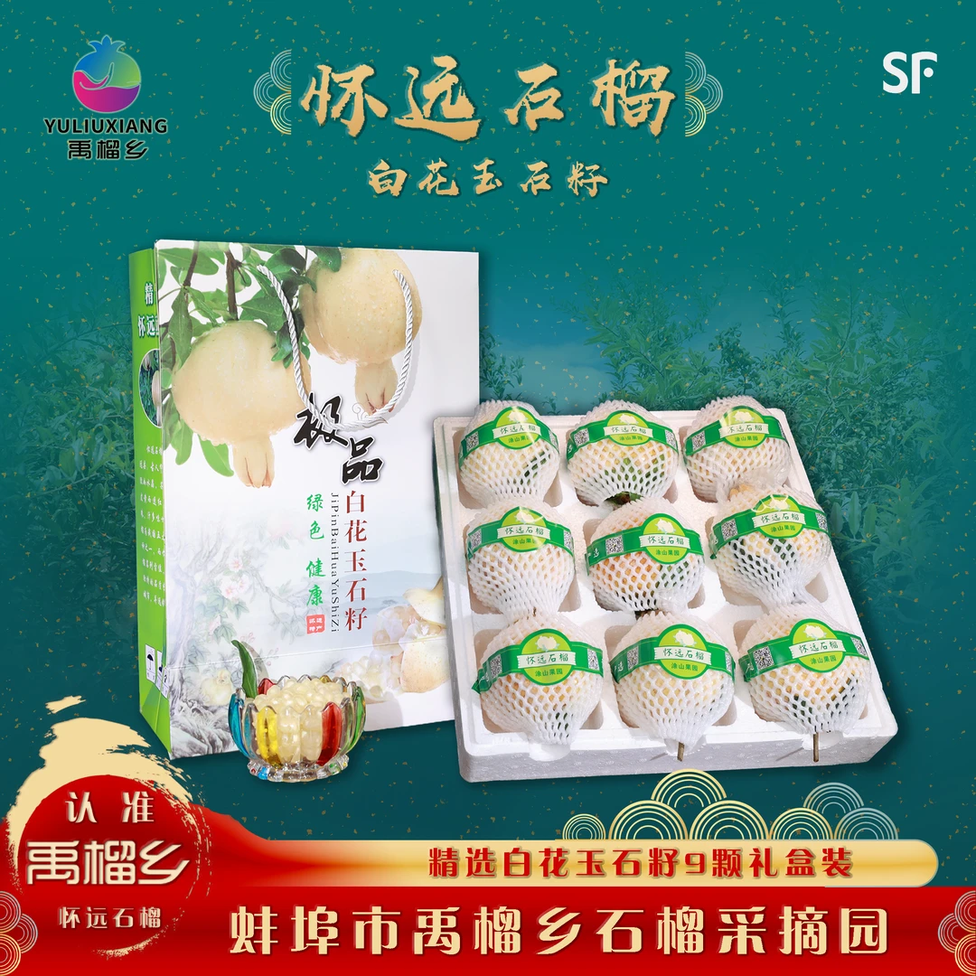 禹榴乡正宗怀远石榴枝头鲜果白花玉石籽9颗精品礼盒果园直发包邮