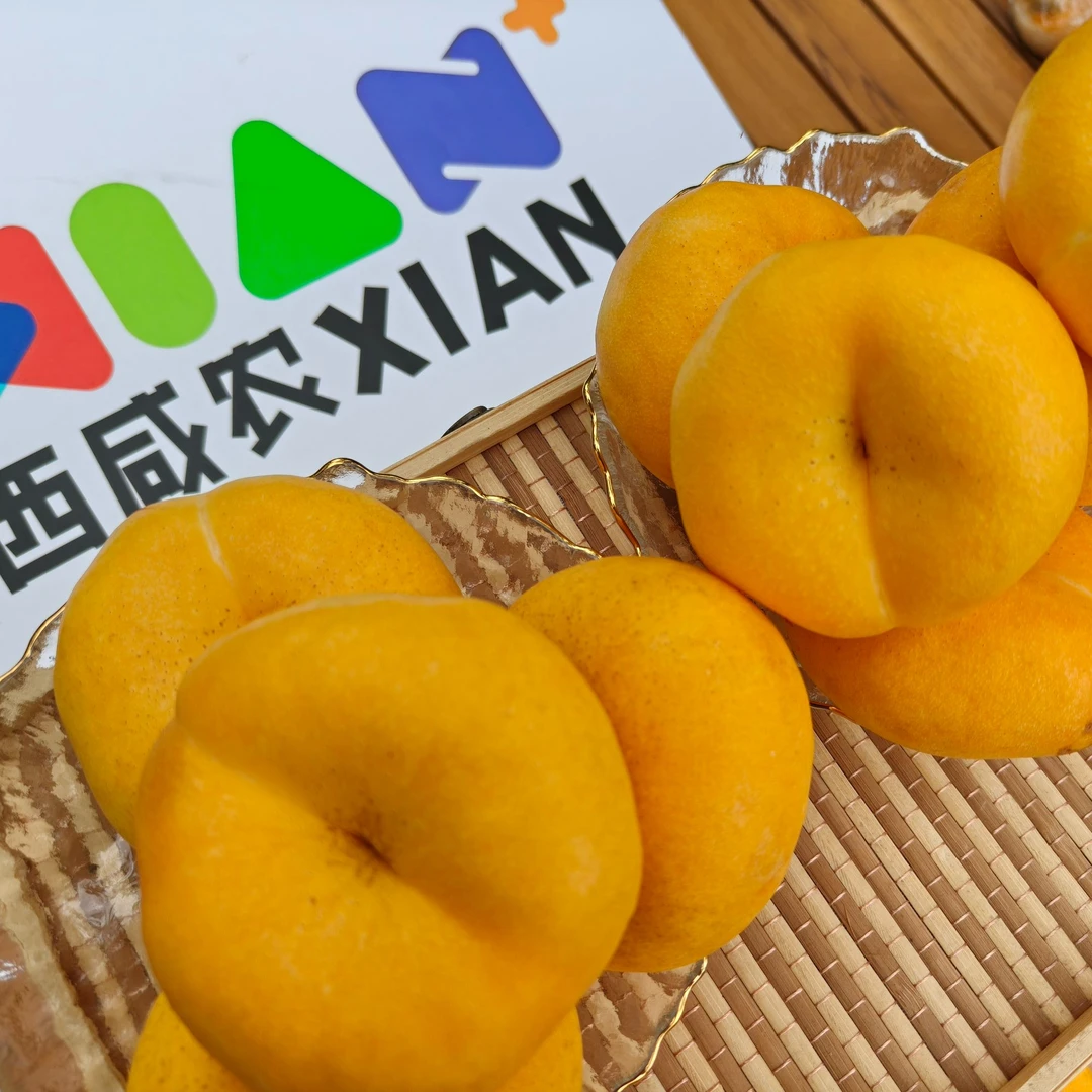 黄色油蟠桃新鲜应季皮薄甜嫩多汁现摘现发水果