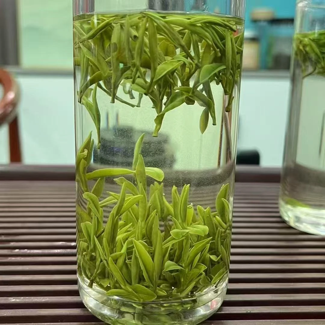 2025年黄山土毛峰明前春茶高山罐装茶叶